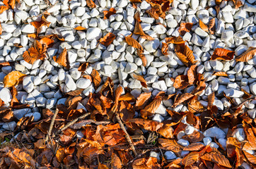 Autumn leaves on pebble beach top view texture