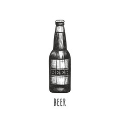 Bottle of beer vector illustration. 