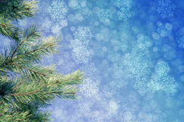 Fototapeta na wymiar Christmas background with fir branches, lights, snowflakes, bokeh.