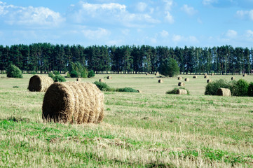 Roll of Haystack on the Field, Republic Mari El.