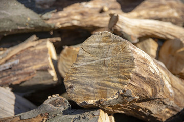 Cross section of the timber, firewood stack for the background. A lot of cutted logs. Stack of sawn logs. Natural wooden decor background. Pile of chopped fire wood prepared for winter.