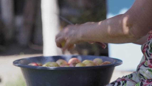 Close-up An Elderly Woman Takes an Apple from an Iron Bowl and Cleans it with a Peel Knife