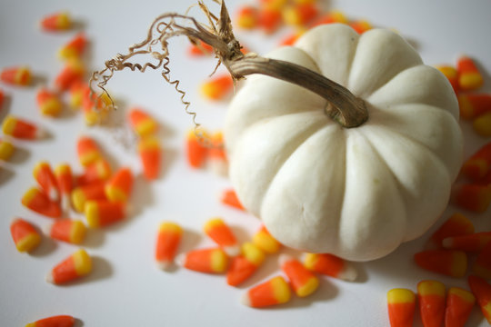 Single White Pumpkin with Halloween Candy Corn against a white background, Modern Harvest Concept - Halloween and Thanksgiving Decorations, Chic Minimalist