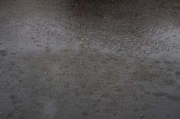 sidewalk with puddles of water and trees reflection