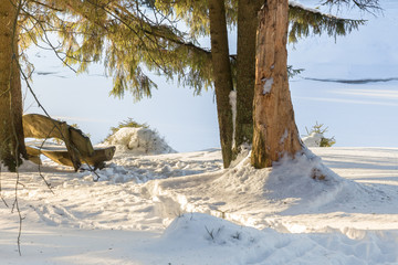 Holzbank lädt am winterlichen Oderteich zum Verweilen ein