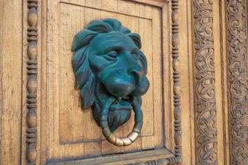 Bronze door knocker in the form of a lion's head on a wooden door