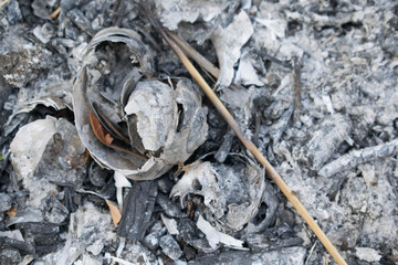 The ash from the gray fire for the design for Photoshop remains background