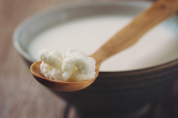 Kefir Grains on Wooden Spoon with a Cup of Kefir in background. Homemade Organic Probiotic. Shallow Depth of Field.