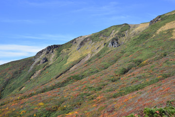 栗駒山の紅葉