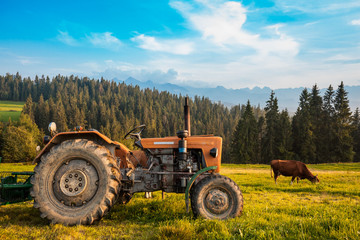 Rural farming view in Tatra mountains