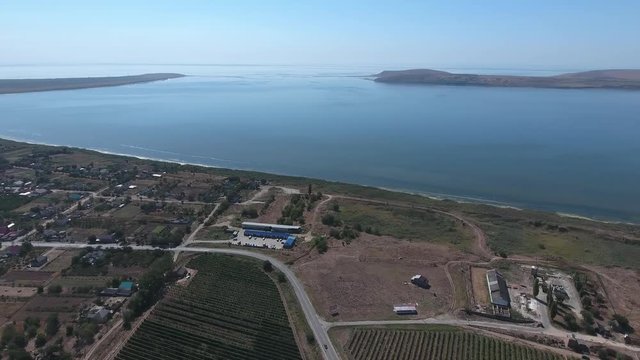 Grape orchards bird's-eye view. Vine rows. Top view on the garden on a background of the estuary, village and sky.