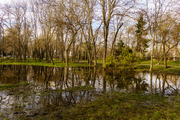 Reflections in the sea garden