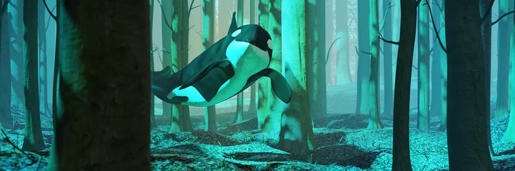 Killerwal schwimmt im Wald, Orca fliegt in nebliger Landschaft © dottedyeti