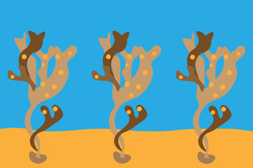 Coral en el fondo del mar. 