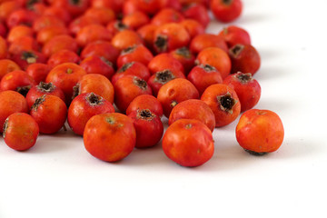 red hawthorn fruit, on white background
medicinal fruit red hawthorn, alternative medicine and hawthorn fruit,

