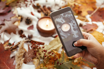 Hand holding phone and taking photo of stylish autumn flat lay of fall leaves, candle, berries, nuts, acorns,cotton on soft white background. Modern mobile photography. Instagram blogging