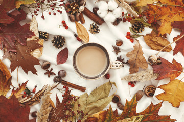 Stylish Autumn Flat Lay. Hot coffee, beautiful fall leaves,berries,nuts,acorns,cotton, cones,cinnamon on soft white background top view. Seasons greetings. Cozy autumn image