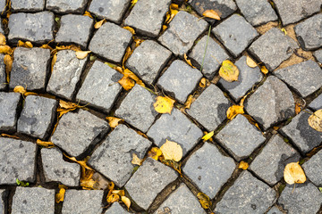 Cobbles with autumn leaves. Background