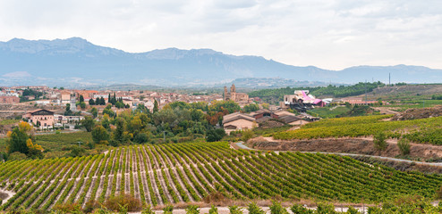 Fototapeta na wymiar countryside town of elciego in la rioja with marques del fiscal winery at background, Spain