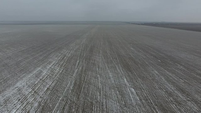 Top view of a plowed field in winter. A field of wheat in the snow.
