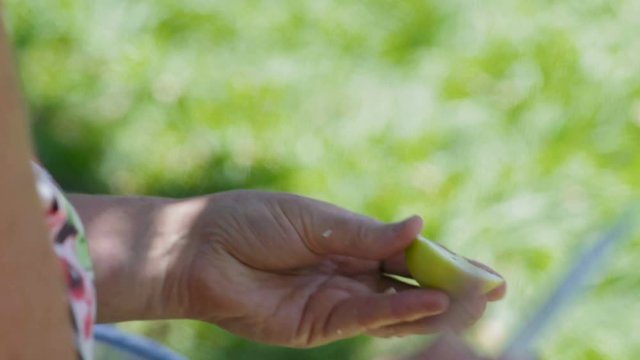 Close-Up, Old Rustic Woman with Knife Cuts Apple for Pie