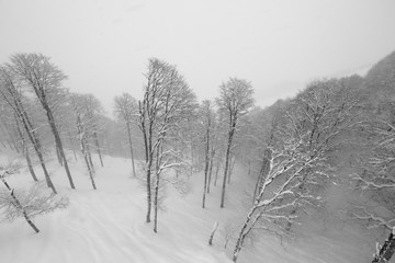 Black-and-white photographs of ski slopes and lifts in winter the snowy slopes of the mountains during a snowfall