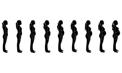 Silhouette images of pregnant women one month to nine months
