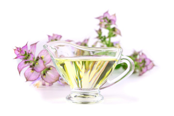 Clary Sage (Salvia Sclarea) Medicinal Herb Plant Distilled Essential Oil in a Glass Container. Isolated on White Background.