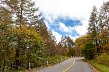日本　美しい　高山　散歩　秋　色　解放
