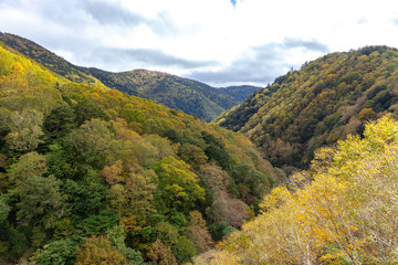 日本　美しい　高山　散歩　秋　色　解放