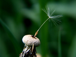 One hope © kretowski