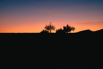 Abendrot mit Bäumen