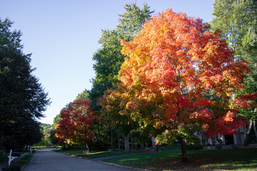 new england neighborhood in autumn
