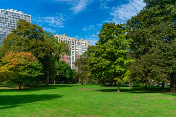 Fototapeta na wymiar Green Space with Trees and Residential Buildings in Lincoln Park Chicago