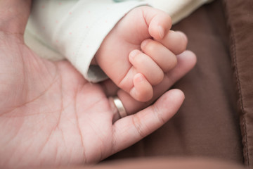 close up of father hand hold baby hand, Concept of love, family, relation