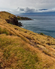 Grassy Hawaiian Coast Line