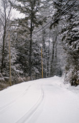 road in winter forest