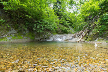 新緑の頃の美しい日本の山岳渓流