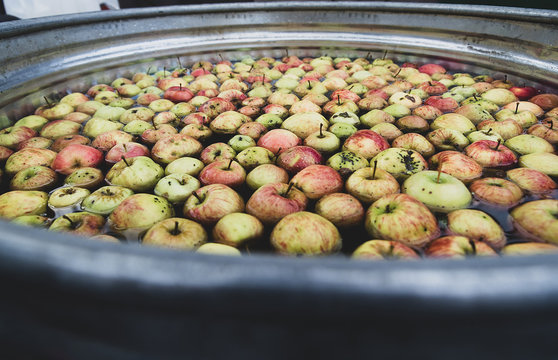 Large tub filled with fresh apples in water