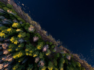 Forest lake from aerial view. Vasyugan swamp. Taiga forest. Nature reservation. Oil and peat reserves. Strezhevoy, Siberia, Russia.
