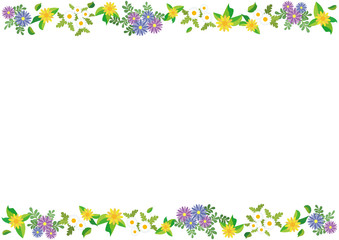 Obraz na płótnie Canvas 花の直線フレーム(ノースポール,アフリカンデージー,メランポジウム)