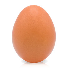 Egg isolated on white background with clipping path,Close up