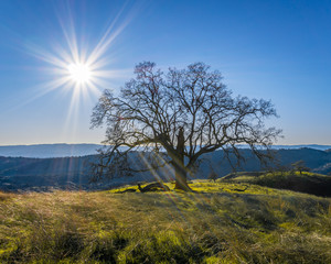 Joseph D Grant State Park