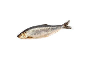 Dried salted fish sticks isolated on white.