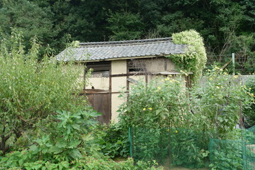 日本の岡山の古い建物