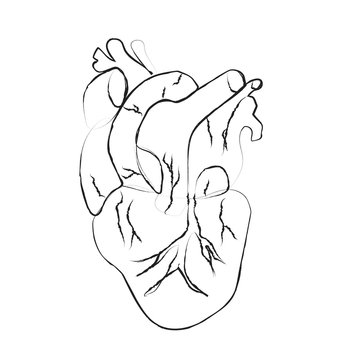 Black human hearts in outline style on white background
