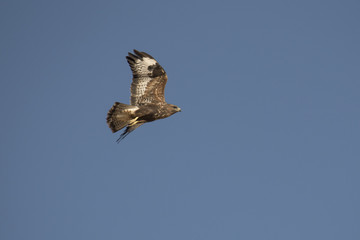 Obraz premium milano en vuelo