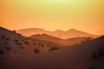 Fototapeta na wymiar Dubai Emirates sand dunes sunset