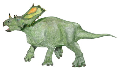 カスモサウルスは中型の角竜類。この恐竜は襟飾りが大きいが、中央部が窪んでいて薄く、比較的軽い構造になっている。完全な壮年になると窪みの部分は穴が開いていたと思われる。襟飾りの周囲は硬い棘で囲まれており、この襟飾りを立て、幼体や傷ついた仲間を肉食獣から守るために円陣を組んだと想像されている。イラストは襟飾りの薄い部分に装飾を施した。白亜紀後期の草食性の恐竜。