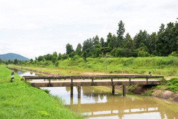 Fototapeta na wymiar Concrete bridge and irrigation canal with tree background